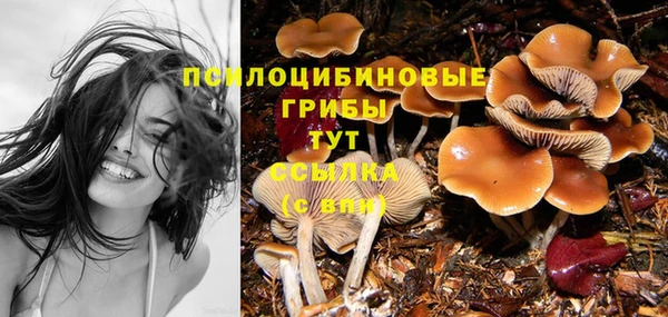 дурь Остров