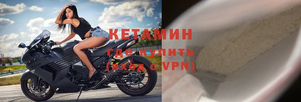 прущие крисы Бородино