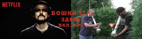 твердый Богородск