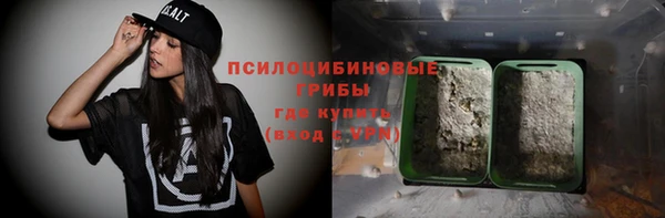 прущие крисы Бородино