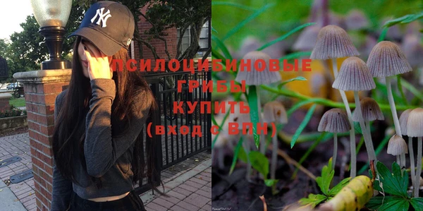 твердый Богородск
