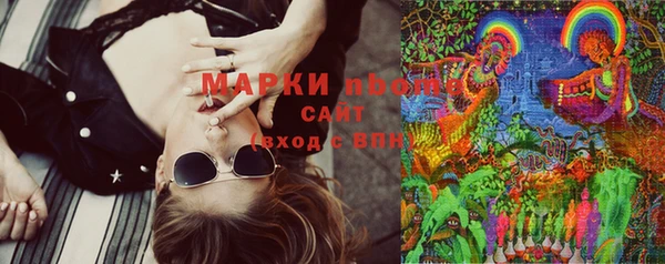 твердый Богородск